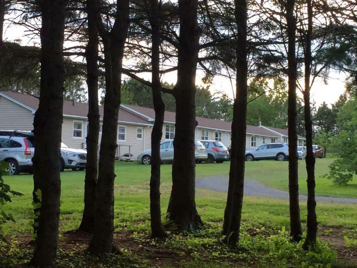 Rachel'S Motel And Cottages Surrey Exteriér fotografie